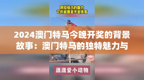 2024澳门特马今晚开奖的背景故事：澳门特马的独特魅力与影响力