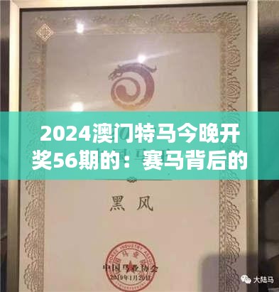 2024澳门特马今晚开奖56期的：赛马背后的经济与社会影响