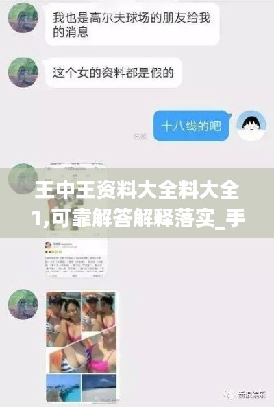 王中王资料大全料大全1,可靠解答解释落实_手游版16.309