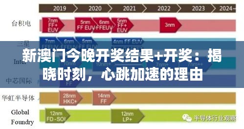 新澳门今晚开奖结果+开奖：揭晓时刻，心跳加速的理由