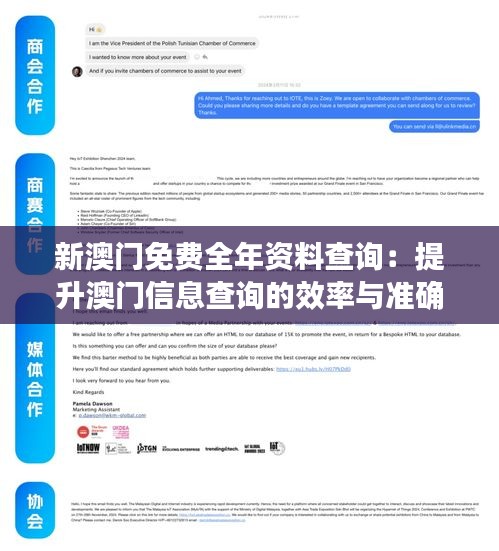 新澳门免费全年资料查询：提升澳门信息查询的效率与准确性