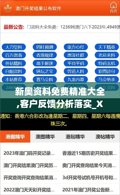 新奥资料免费精准大全,客户反馈分析落实_X9.372