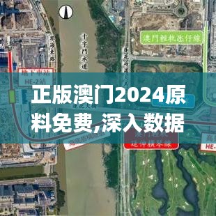 正版澳门2024原料免费,深入数据解答解释落实_策略版8.114