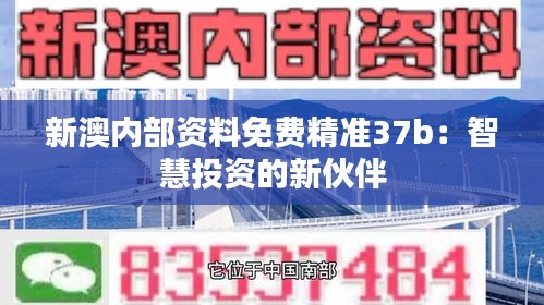 新澳内部资料免费精准37b：智慧投资的新伙伴