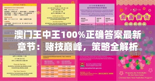 澳门王中王100%正确答案最新章节：赌技巅峰，策略全解析