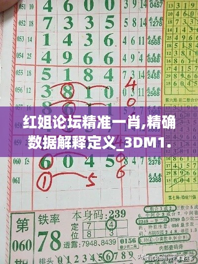 红姐论坛精准一肖,精确数据解释定义_3DM1.487