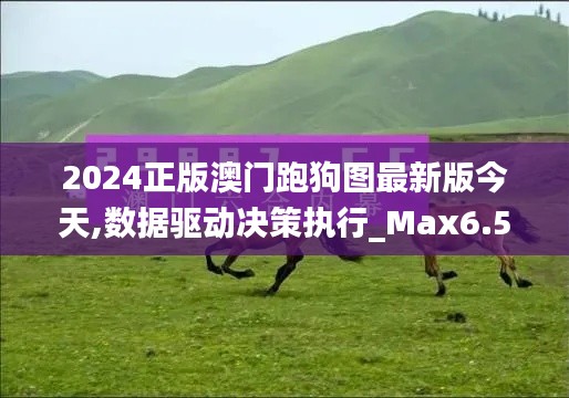 2024正版澳门跑狗图最新版今天,数据驱动决策执行_Max6.533