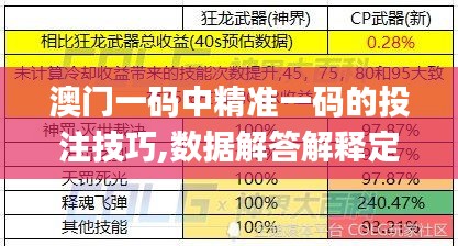 澳门一码中精准一码的投注技巧,数据解答解释定义_SE版5.587