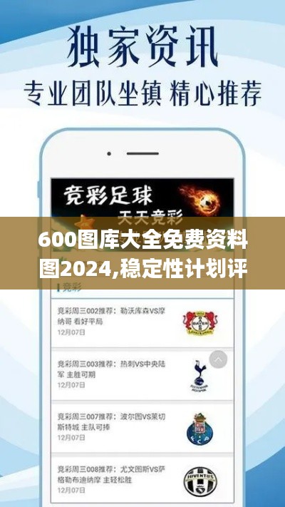 600图库大全免费资料图2024,稳定性计划评估_运动版2.766