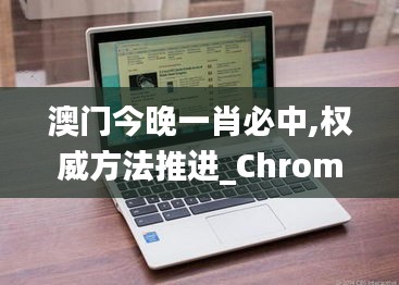 澳门今晚一肖必中,权威方法推进_Chromebook7.353