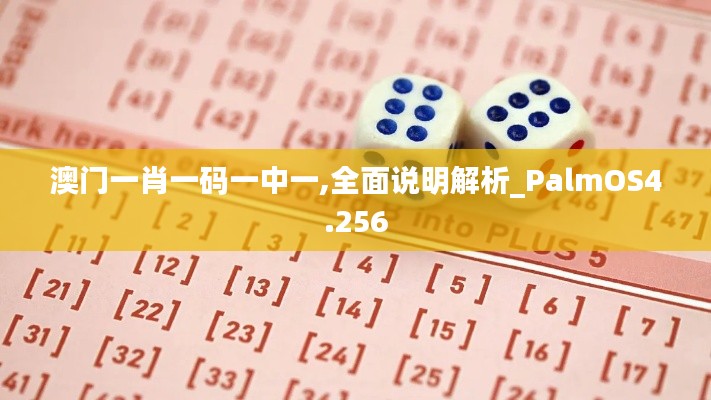 澳门一肖一码一中一,全面说明解析_PalmOS4.256