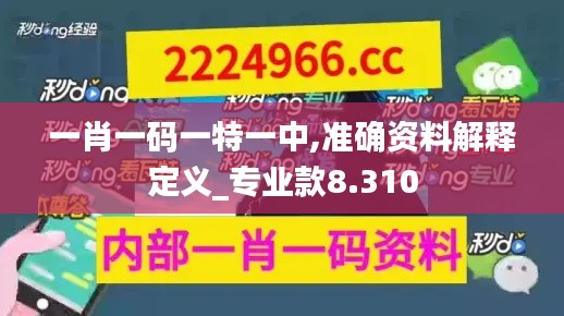 2024年12月15日 第54页