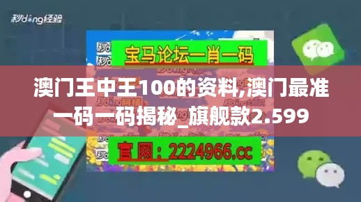 澳门王中王100的资料,澳门最准一码一码揭秘_旗舰款2.599