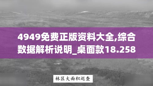 4949免费正版资料大全,综合数据解析说明_桌面款18.258