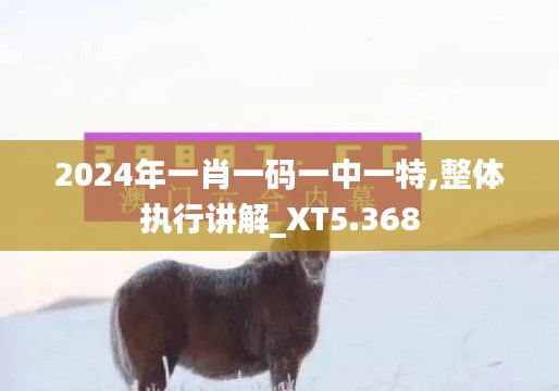 2024年一肖一码一中一特,整体执行讲解_XT5.368