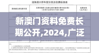 新澳门资料免费长期公开,2024,广泛的解释落实方法分析_经典款6.235