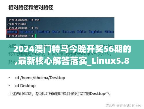 2024澳门特马今晚开奖56期的,最新核心解答落实_Linux5.848