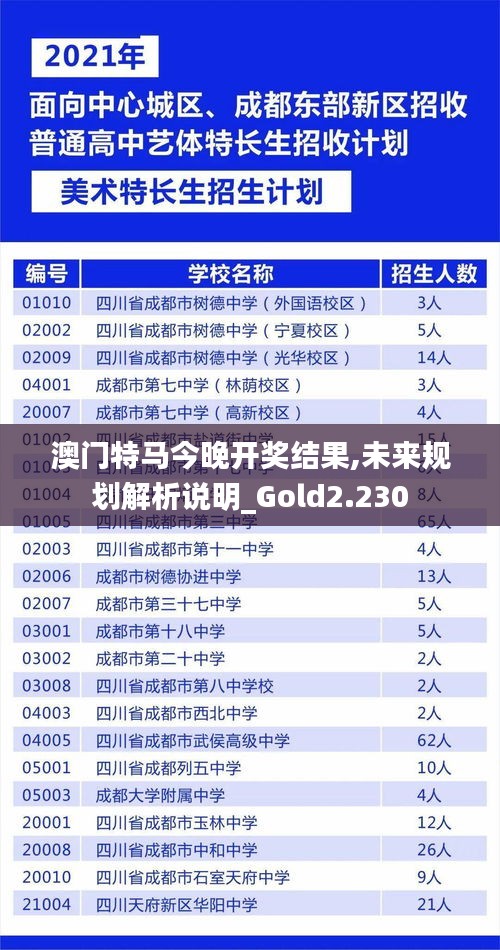 澳门特马今晚开奖结果,未来规划解析说明_Gold2.230