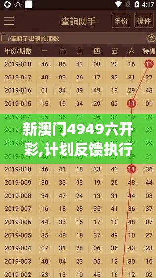 新澳门4949六开彩,计划反馈执行_Max9.673