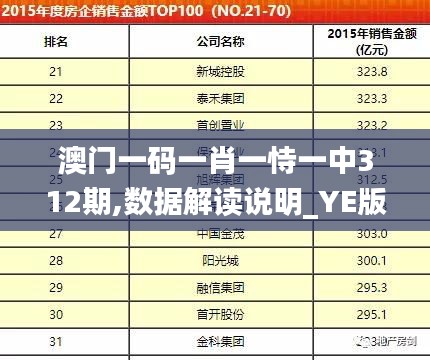 澳门一码一肖一恃一中312期,数据解读说明_YE版3.591