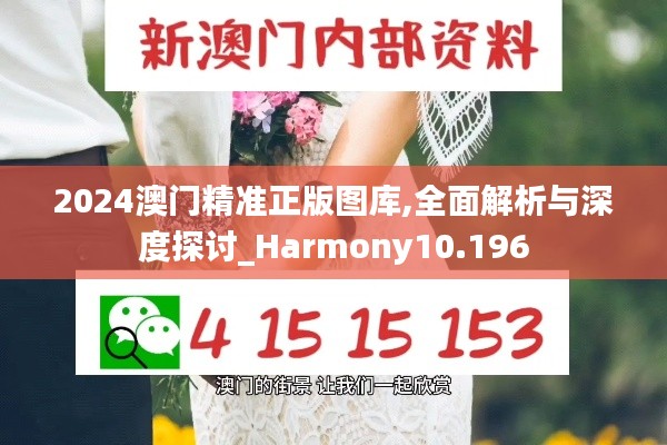 2024澳门精准正版图库,全面解析与深度探讨_Harmony10.196