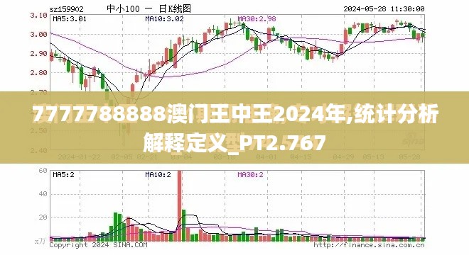 7777788888澳门王中王2024年,统计分析解释定义_PT2.767