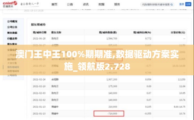 澳门王中王100%期期准,数据驱动方案实施_领航版2.728