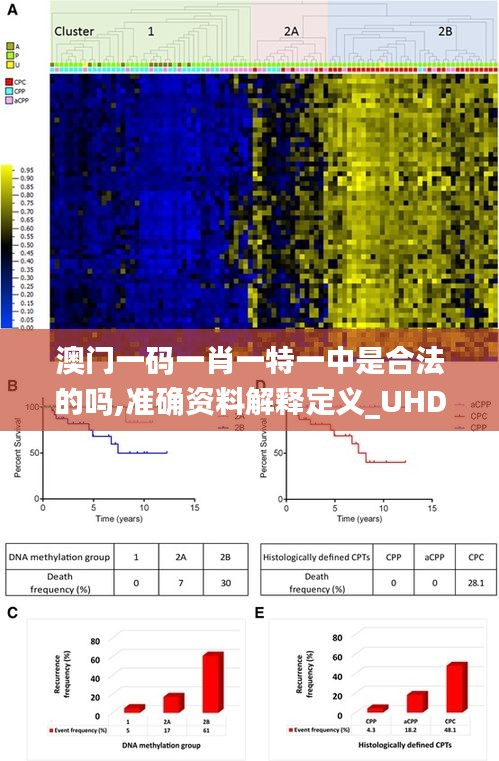 澳门一码一肖一特一中是合法的吗,准确资料解释定义_UHD版2.946