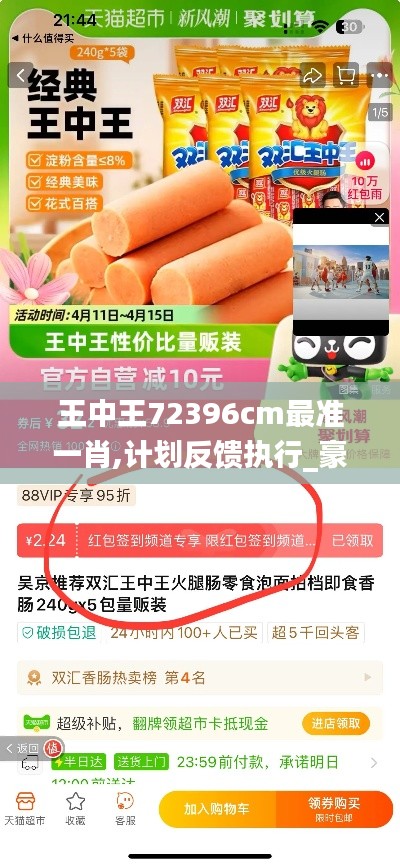 王中王72396cm最准一肖,计划反馈执行_豪华款6.275