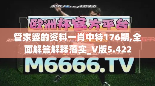 管家婆的资料一肖中特176期,全面解答解释落实_V版5.422