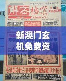 新澳门玄机免费资料：揭秘赌场高手不传之秘的实用指南