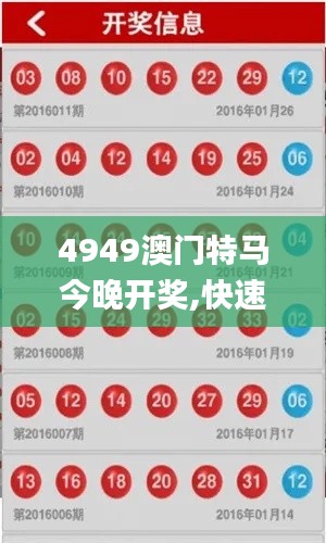 4949澳门特马今晚开奖,快速解析响应策略_复古款1.561