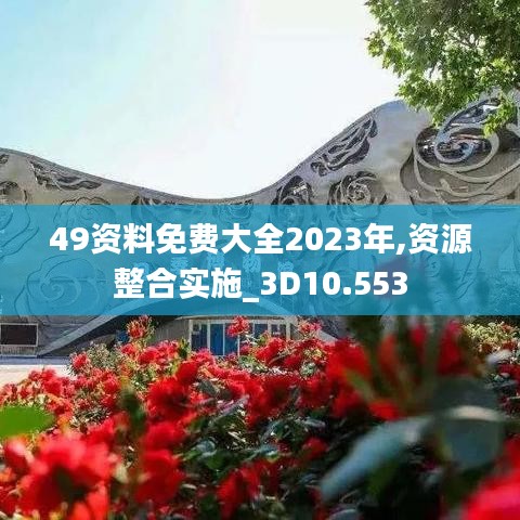 49资料免费大全2023年,资源整合实施_3D10.553