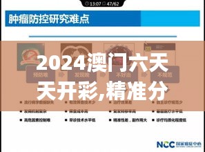 2024澳门六天天开彩,精准分析实施步骤_VR6.759