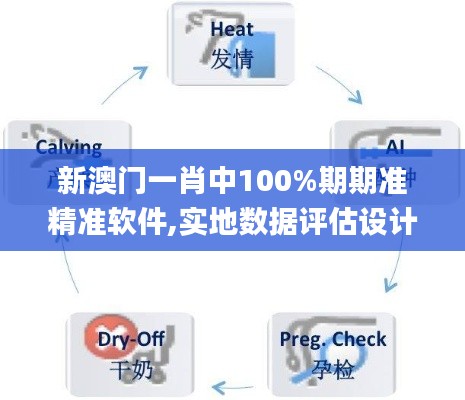 新澳门一肖中100%期期准精准软件,实地数据评估设计_安卓6.826