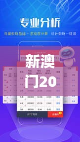 新澳门2024六台彩查询结果,稳定设计解析方案_V版10.123