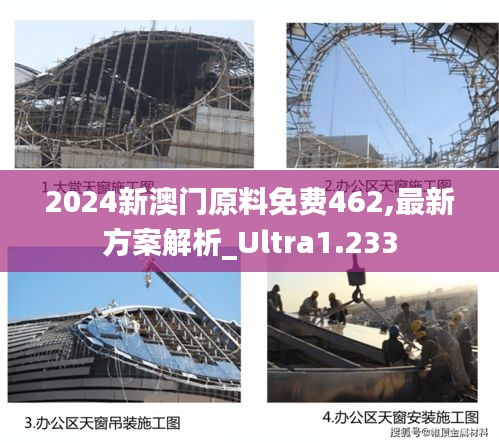 2024新澳门原料免费462,最新方案解析_Ultra1.233