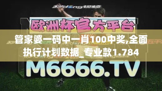 管家婆一码中一肖100中奖,全面执行计划数据_专业款1.784