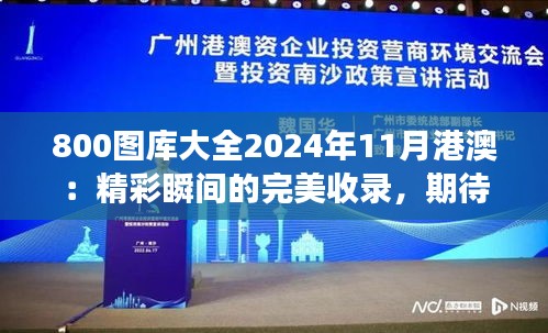 800图库大全2024年11月港澳：精彩瞬间的完美收录，期待一场视觉盛宴