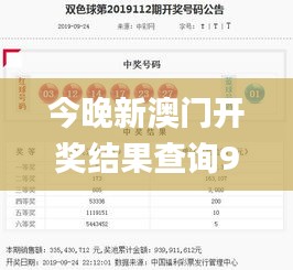 今晚新澳门开奖结果查询9+,实时解析数据_eShop14.729