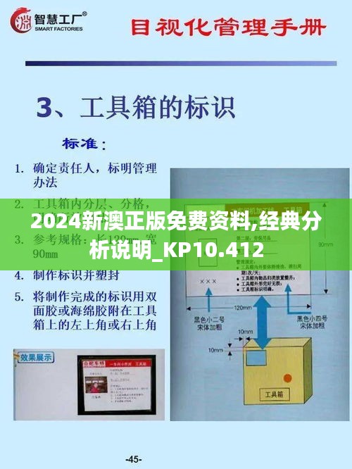 2024新澳正版免费资料,经典分析说明_KP10.412