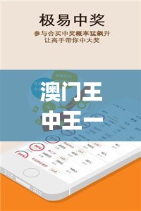 澳门王中王一肖一特一中,高速响应方案规划_yShop6.845