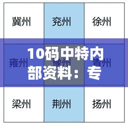 10码中特内部资料：专家推荐的实战指南