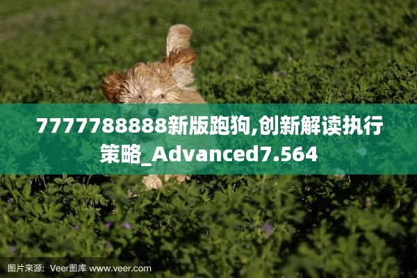 7777788888新版跑狗,创新解读执行策略_Advanced7.564