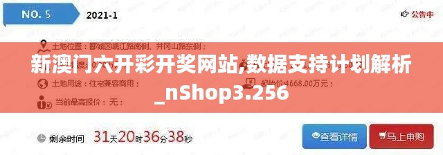 新澳门六开彩开奖网站,数据支持计划解析_nShop3.256