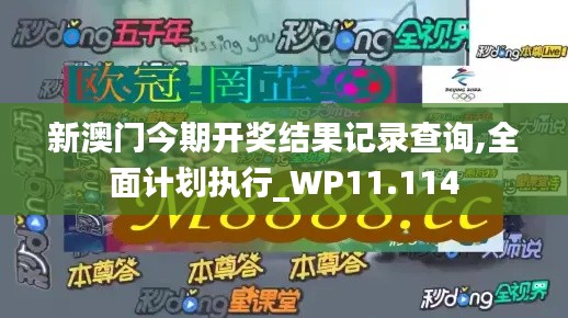 新澳门今期开奖结果记录查询,全面计划执行_WP11.114