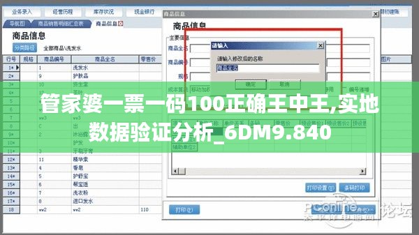 管家婆一票一码100正确王中王,实地数据验证分析_6DM9.840