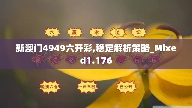 新澳门4949六开彩,稳定解析策略_Mixed1.176