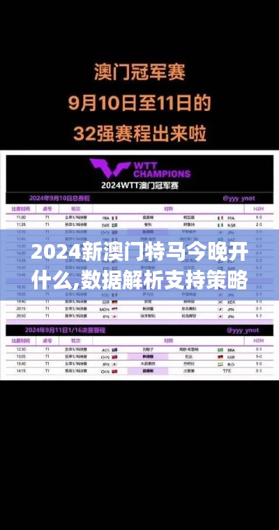 2024新澳门特马今晚开什么,数据解析支持策略_Q4.300