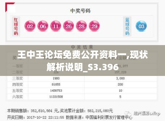 王中王论坛免费公开资料一,现状解析说明_S3.396